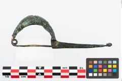 Foto von Bronzekahnfibel (NHMW-PRAE-026425)